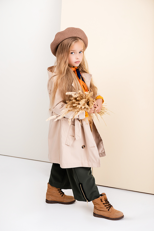 side view of fashionable blonde girl in autumn outfit walking with wheat spikes on beige and white background