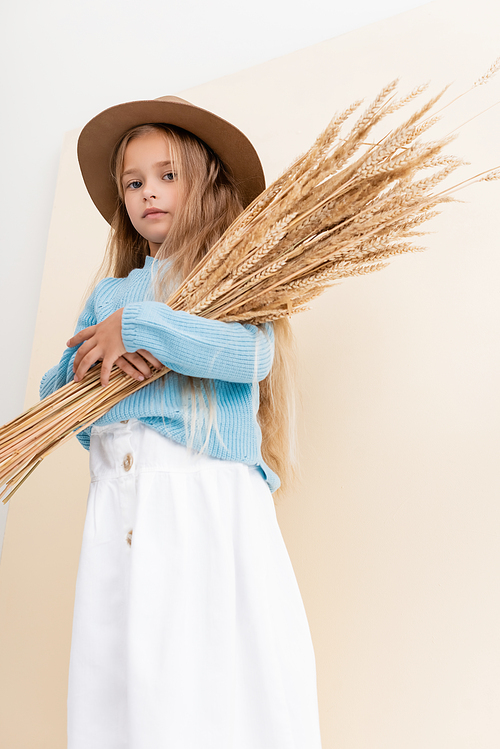 low angle view of fashionable blonde girl in hat and blue sweater with wheat spikes on beige and white background