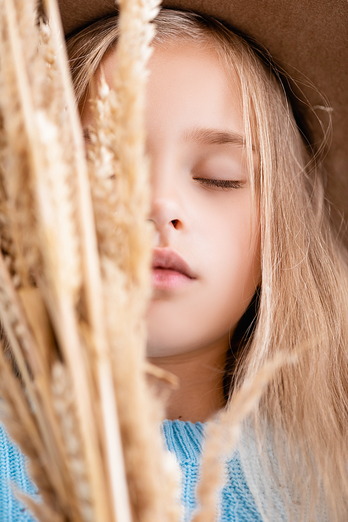selective focus of fashionable blonde girl in hat and blue sweater in wheat spikes with closed eyes