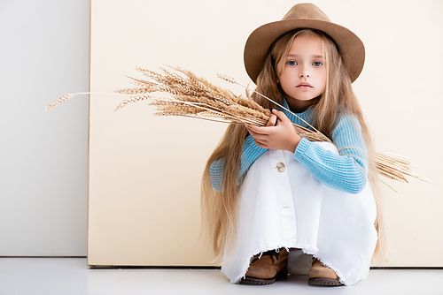 fashionable blonde girl in hat, white skirt and blue sweater with wheat spikes sitting on beige background