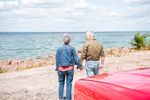 back view of senior couple of tourists standing at beach near car and holding hands