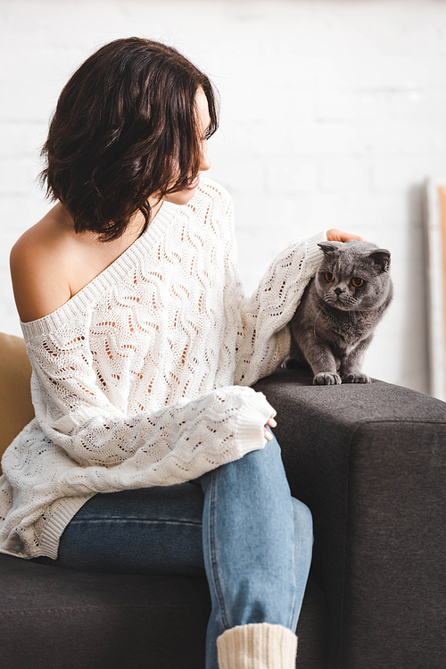 beautiful woman sitting on sofa with scottish fold cat