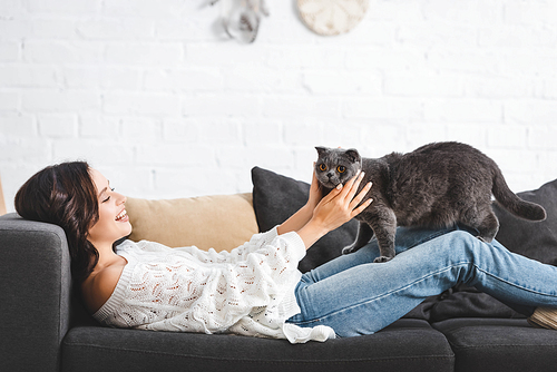 brunette woman lying on sofa with scottish fold cat in cozy living room