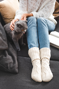 cropped view of woman with book and grey cat sitting on sofa
