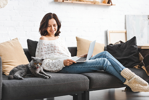 beautiful happy woman using laptop with scottish fold cat on sofa