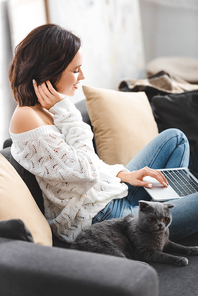 beautiful smiling woman using laptop with scottish fold cat on sofa