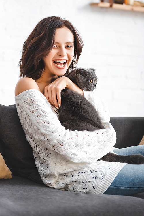 beautiful laughing woman with scottish fold cat sitting on sofa