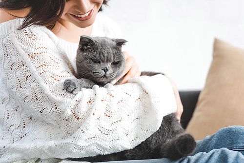 cropped view of happy beautiful woman sitting on sofa with scottish fold cat