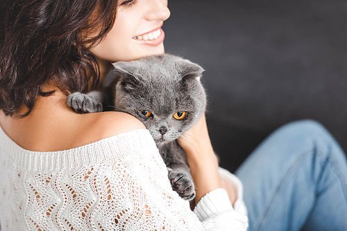 close up of woman with grey scottish fold cat