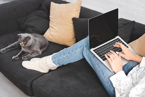 cropped view of woman using laptop with blank screen on sofa with cat