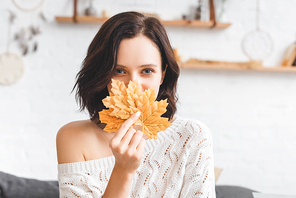 beautiful woman holding yellow autumn leaves in front of face