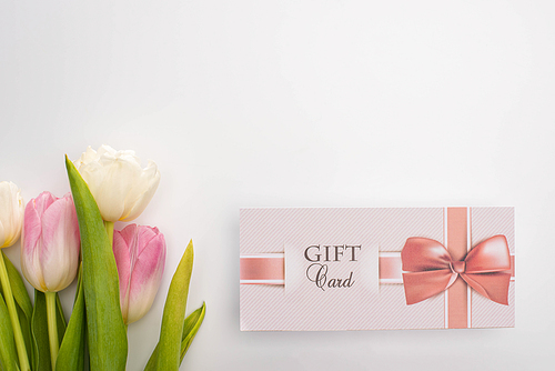 Top view of gift card with bow near tulips on white background