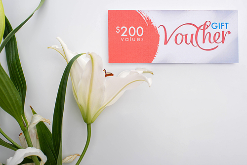 Top view of lily with leaves near gift voucher with 200 dollars lettering on white background