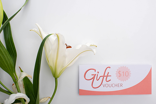 Top view of gift voucher with 10 dollars sign near lily on white background