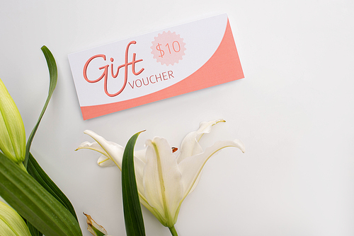 Top view of lily with leaves and gift voucher on white background