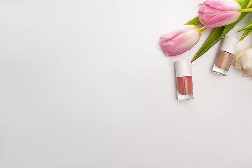 Top view of nail polishes and tulips on white background