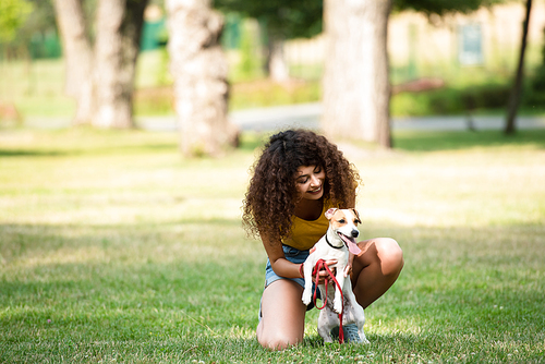 Selective focus of young woman holding and looking at jack russell terrier dog