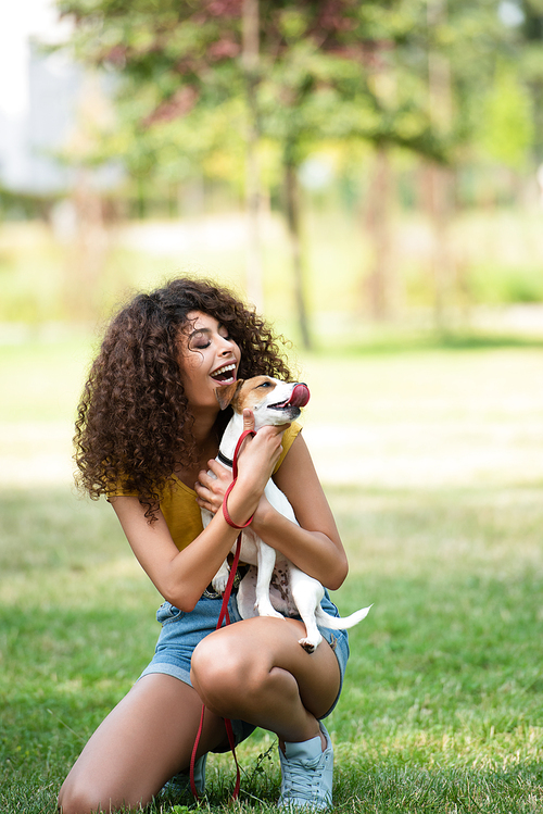 Selective focus of young woman with open mouth looking at dog