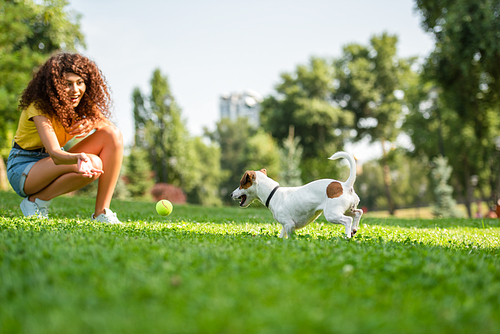 Selective focus of young woman woman playing and looking at dog