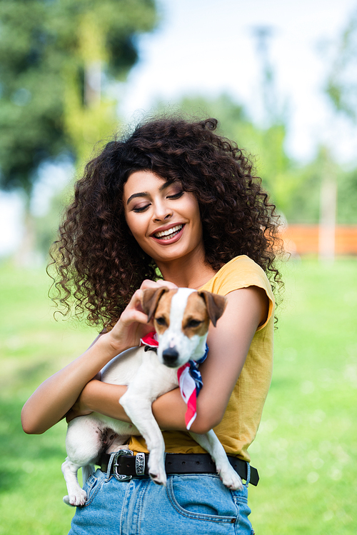 selective focus of joyful, curly woman stroking jack russell terrier dog