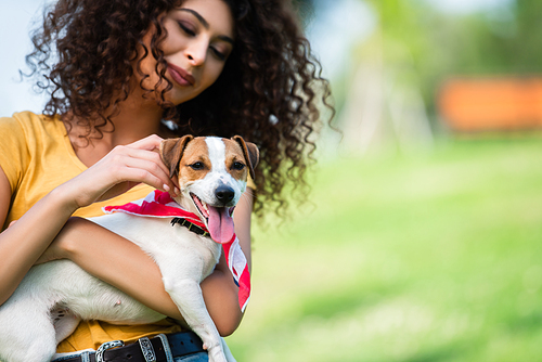 selective focus of joyful, curly woman holding and stroking jack russell terrier dog