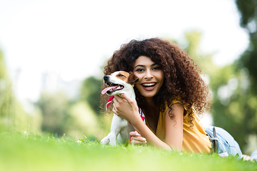 surface level view of joyful, curly woman  while cuddling jack russell terrier dog on lawn