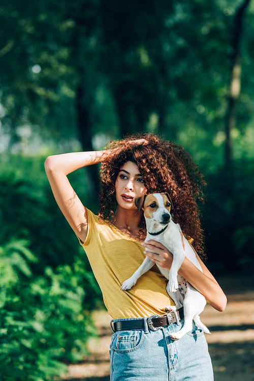 young woman touching curly hair and looking away while holding jack russell terrier dog