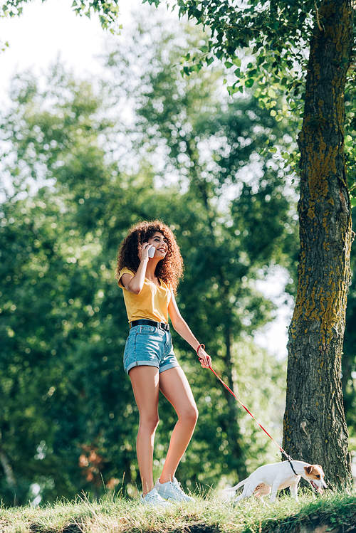 joyful young woman in summer outfit walking with jack russell terrier dog in park and talking on mobile phone