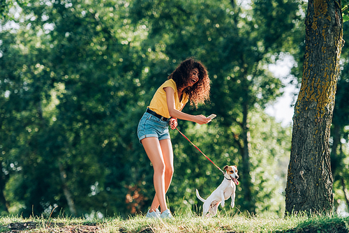 laughing woman in summer outfit taking photo of jack russell terrier dog while strolling in park