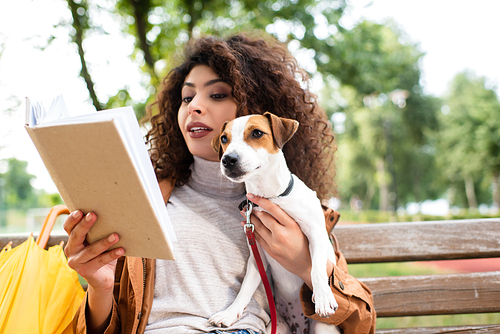 brunette woman reading book and holding jack russell terrier dog on bench in park