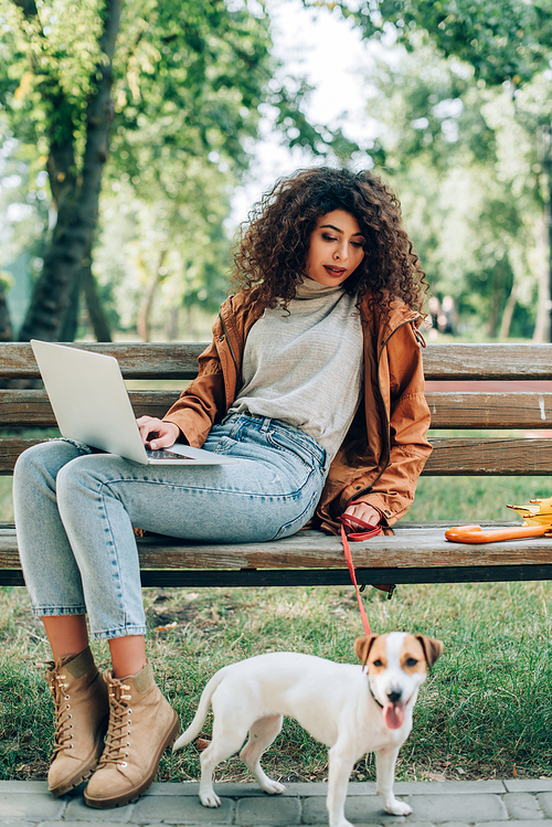 selective focus of stylish freelancer sitting on bench with laptop and jack russell terrier dog on leash
