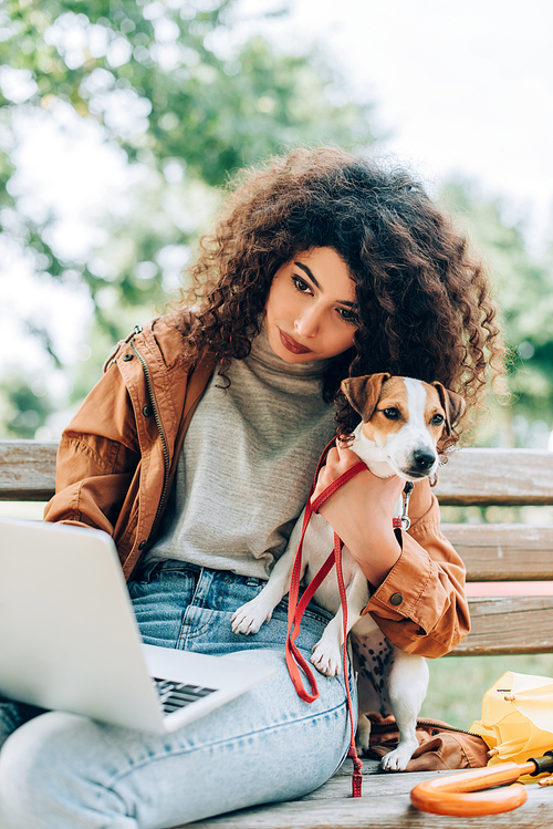 curly freelancer using laptop while sitting on bench in park with jack russell terrier dog