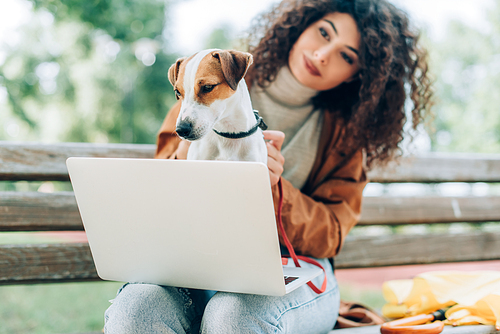 selective focus of curly freelancer holding jack russell terrier dog while sitting on bench with laptop