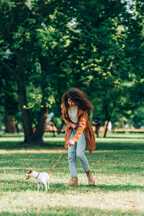 Selective focus of woman in raincoat walking on leash jack russell terrier on meadow in park