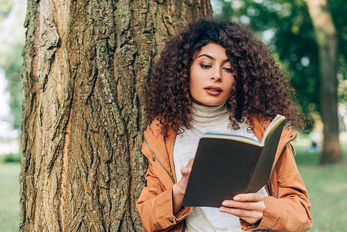 Selective focus of curly woman holding notebook near tree in park