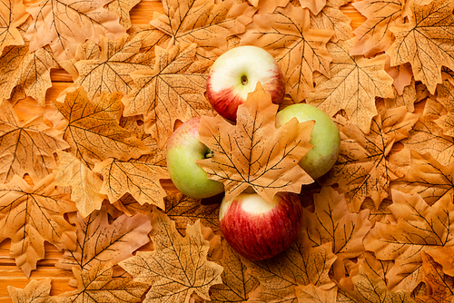 top view of ripe tasty apples and autumnal foliage