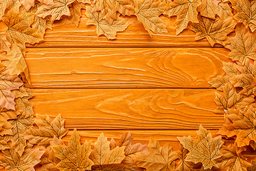 top view of autumnal foliage arranged in frame on wooden background