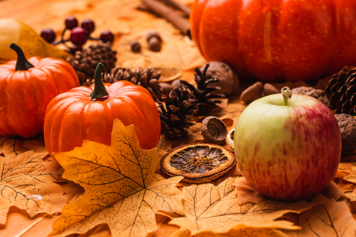 autumnal harvest and decoration with golden foliage