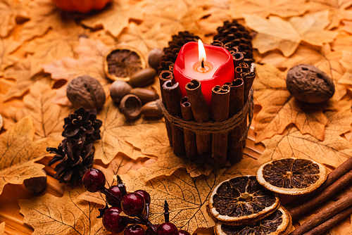 selective focus of burning candle with autumnal brown decoration on golden foliage