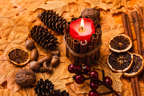 burning candle with autumnal brown decoration on golden foliage
