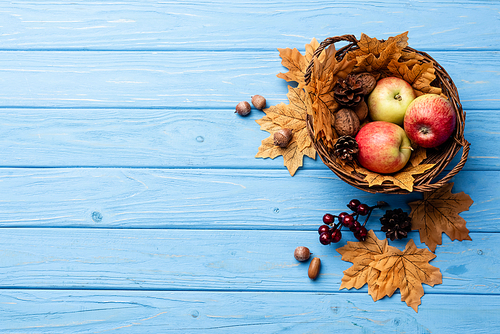 top view of autumnal wicker basket with apples, nuts and cones on blue wooden background