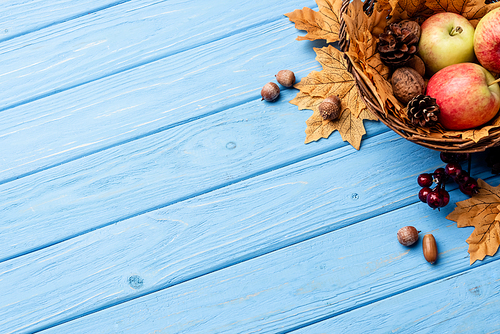 top view of autumnal wicker basket with apples, nuts and cones on blue wooden background