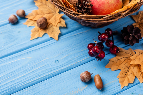 autumnal leaves, berries, acorns and cones on blue wooden background