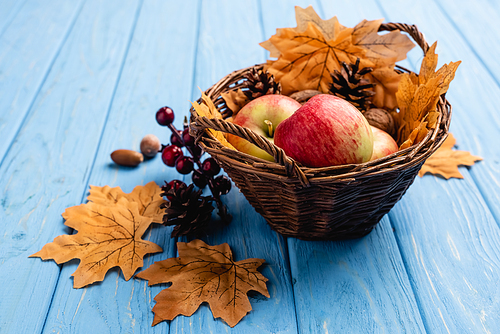 autumnal wicker basket with apples and foliage on blue wooden background