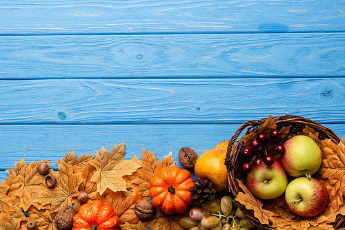 top view of autumnal harvest in basket and foliage on blue wooden background