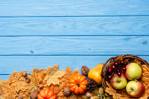 top view of autumnal harvest in basket and foliage on blue wooden background