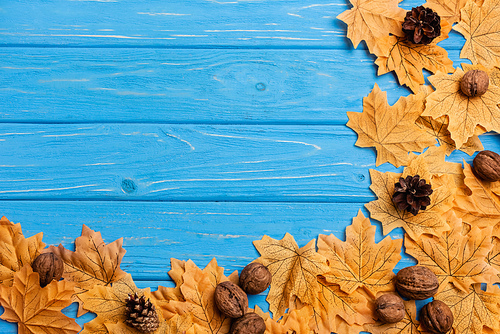 top view of autumnal foliage with nuts and cones on blue wooden background