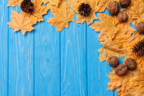 top view of autumnal foliage with nuts and cones on blue wooden background
