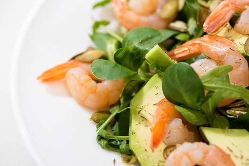 close up view of fresh green salad with shrimps and avocado on plate