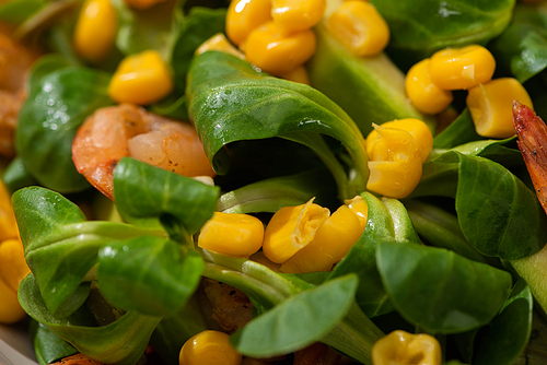 close up view of fresh green salad with corn, shrimps and avocado